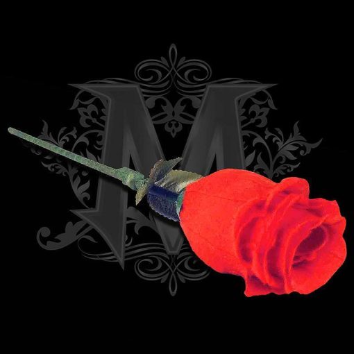 The Rose by Bond Lee & Wenzi Magic